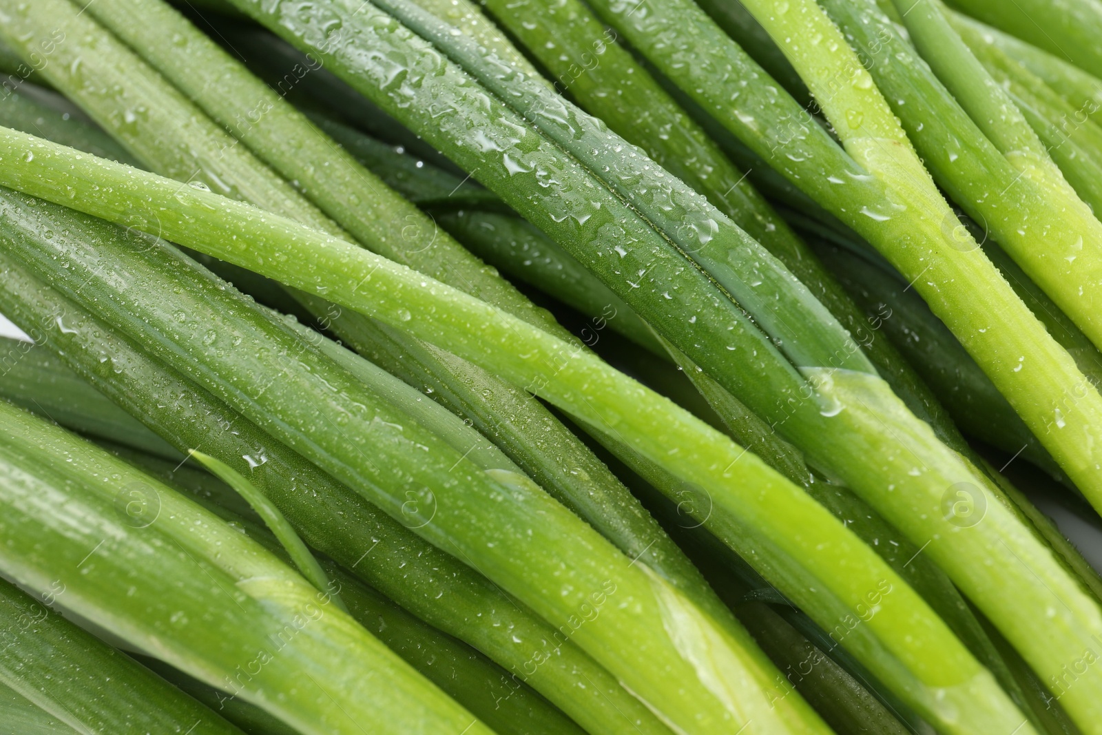 Photo of Many fresh green onions as background, closeup