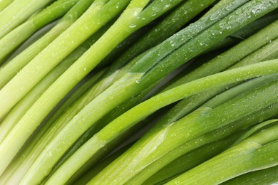 Photo of Many fresh green onions as background, closeup