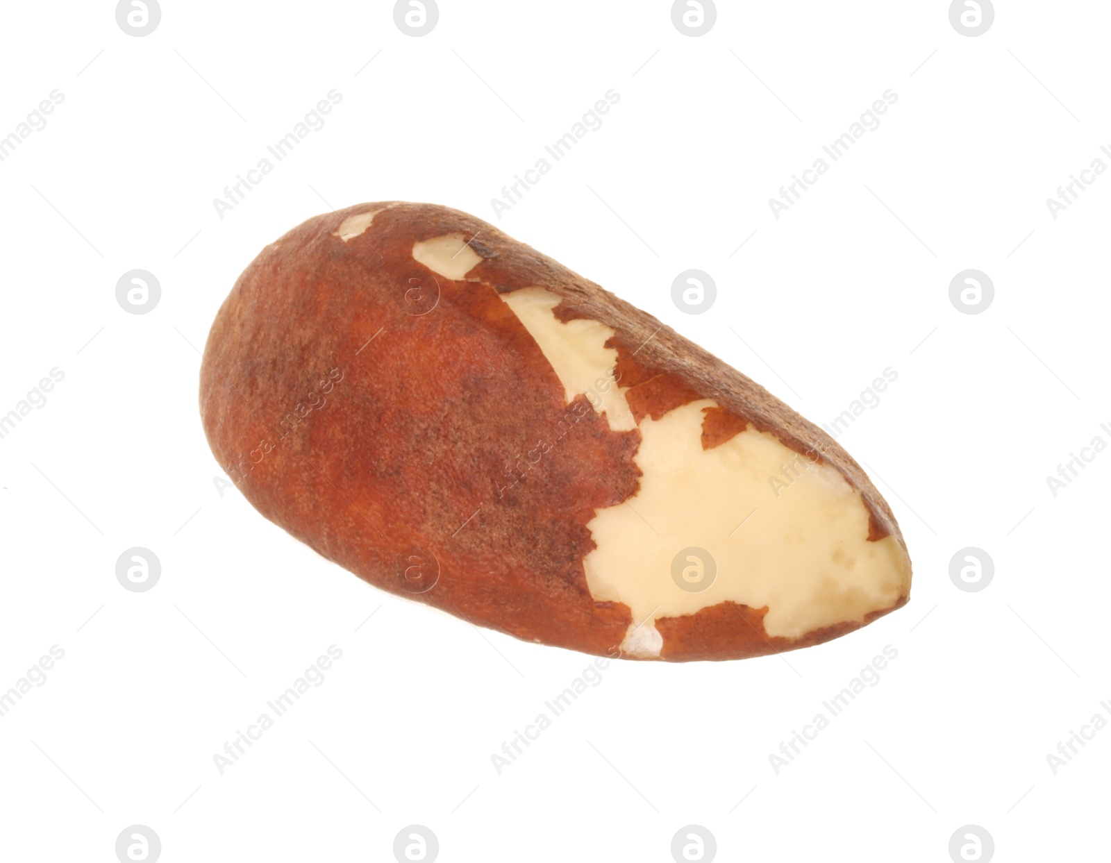 Photo of One tasty Brazil nut isolated on white