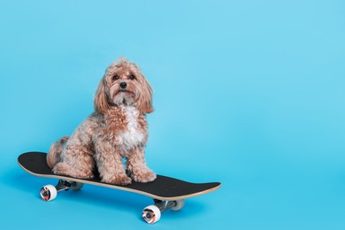 Photo of Cute Maltipoo dog on skateboard against light blue background. Space for text