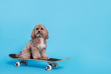 Photo of Cute Maltipoo dog on skateboard against light blue background. Space for text