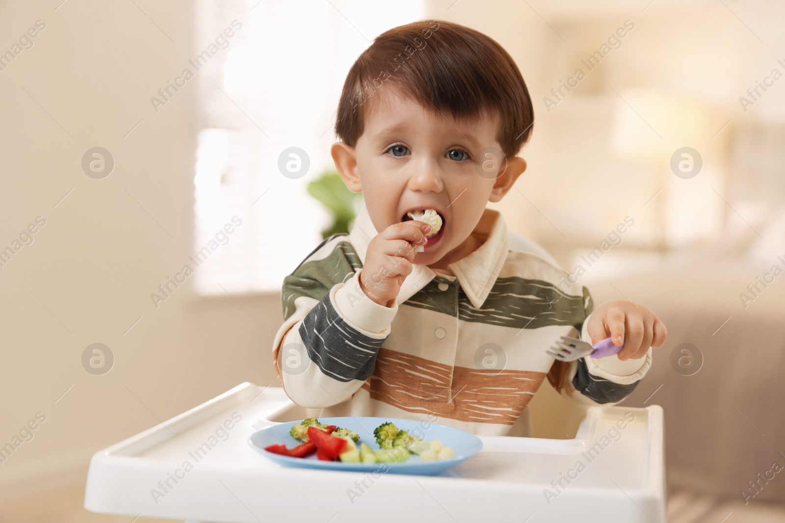 Photo of Cute little baby eating healthy food in high chair at home