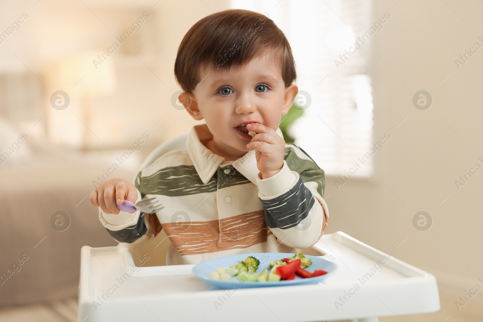 Photo of Cute little baby eating healthy food in high chair at home