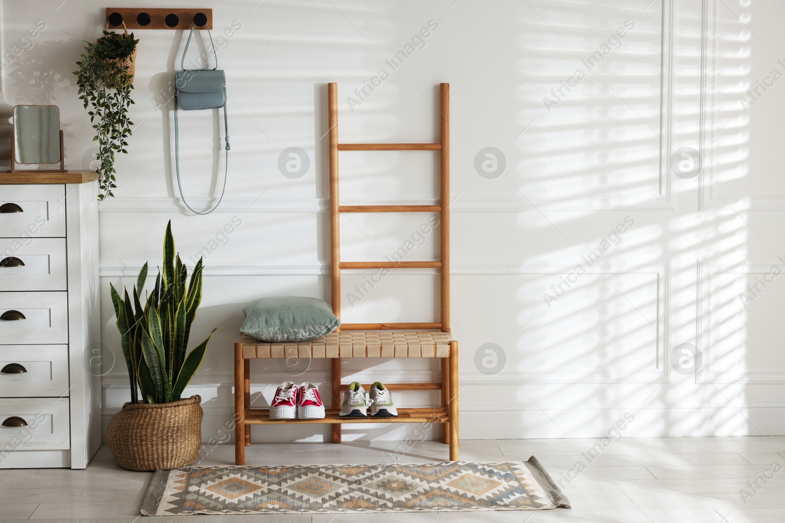 Photo of Stylish hallway interior with shoe storage bench, chest of drawers, houseplants and coat rack