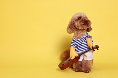 Cute Toy Poodle dog in musician costume on yellow background, space for text