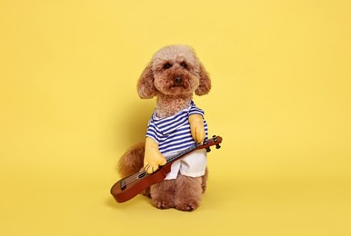 Photo of Cute Toy Poodle dog in musician costume on yellow background