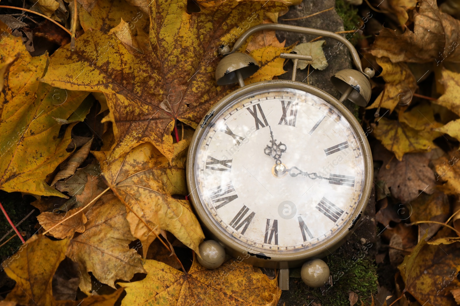 Photo of Autumn time. Vintage clock on fallen leaves in park, closeup