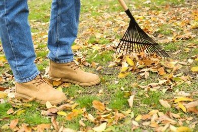 Photo of Man gathering fallen leaves with fan rake outdoors, closeup