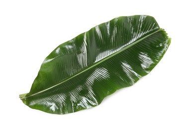 Photo of Fresh green banana tree leaf isolated on white