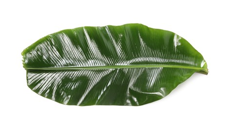 Photo of Fresh green banana tree leaf isolated on white