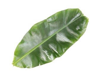 Photo of Fresh green banana tree leaf isolated on white