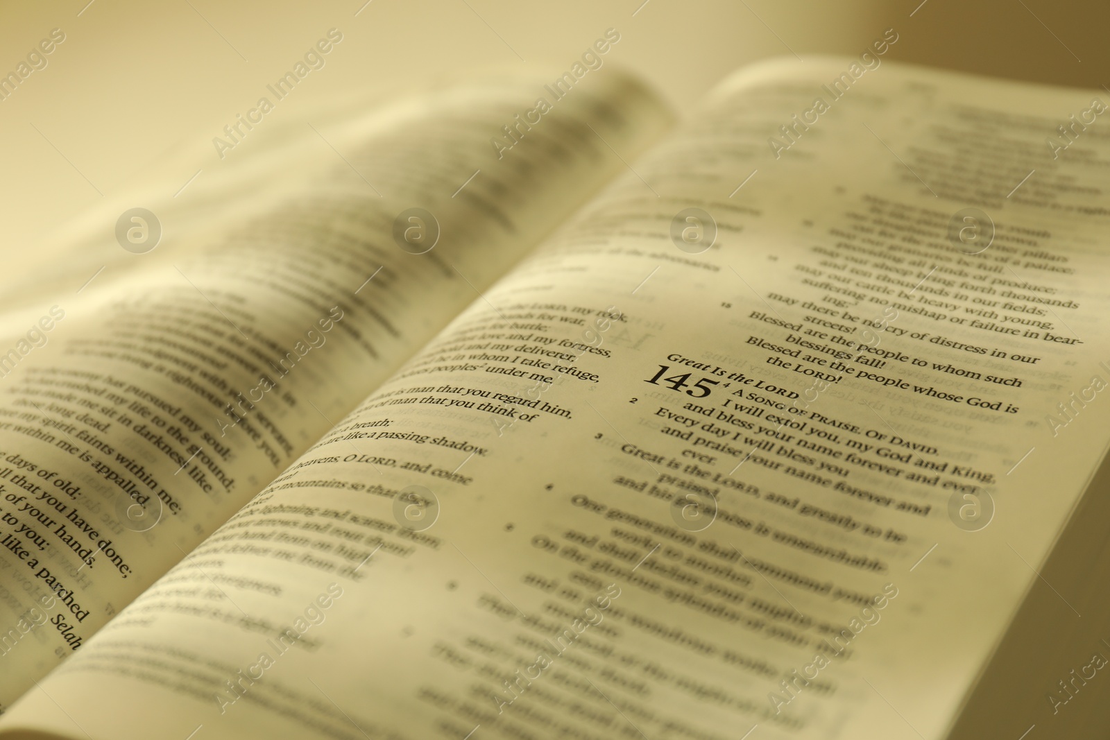 Photo of Open Holy Bible in English language, closeup