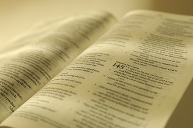 Open Holy Bible in English language, closeup