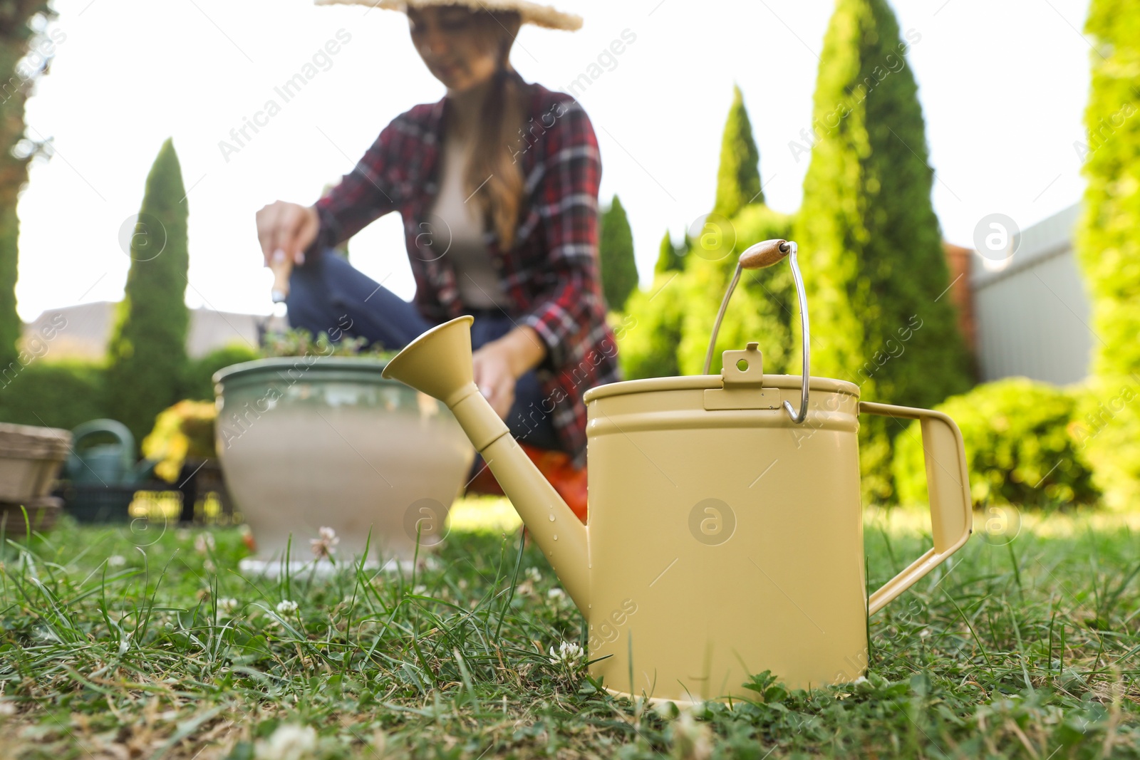 Photo of Woman with potted plant outdoors, focus on watering can