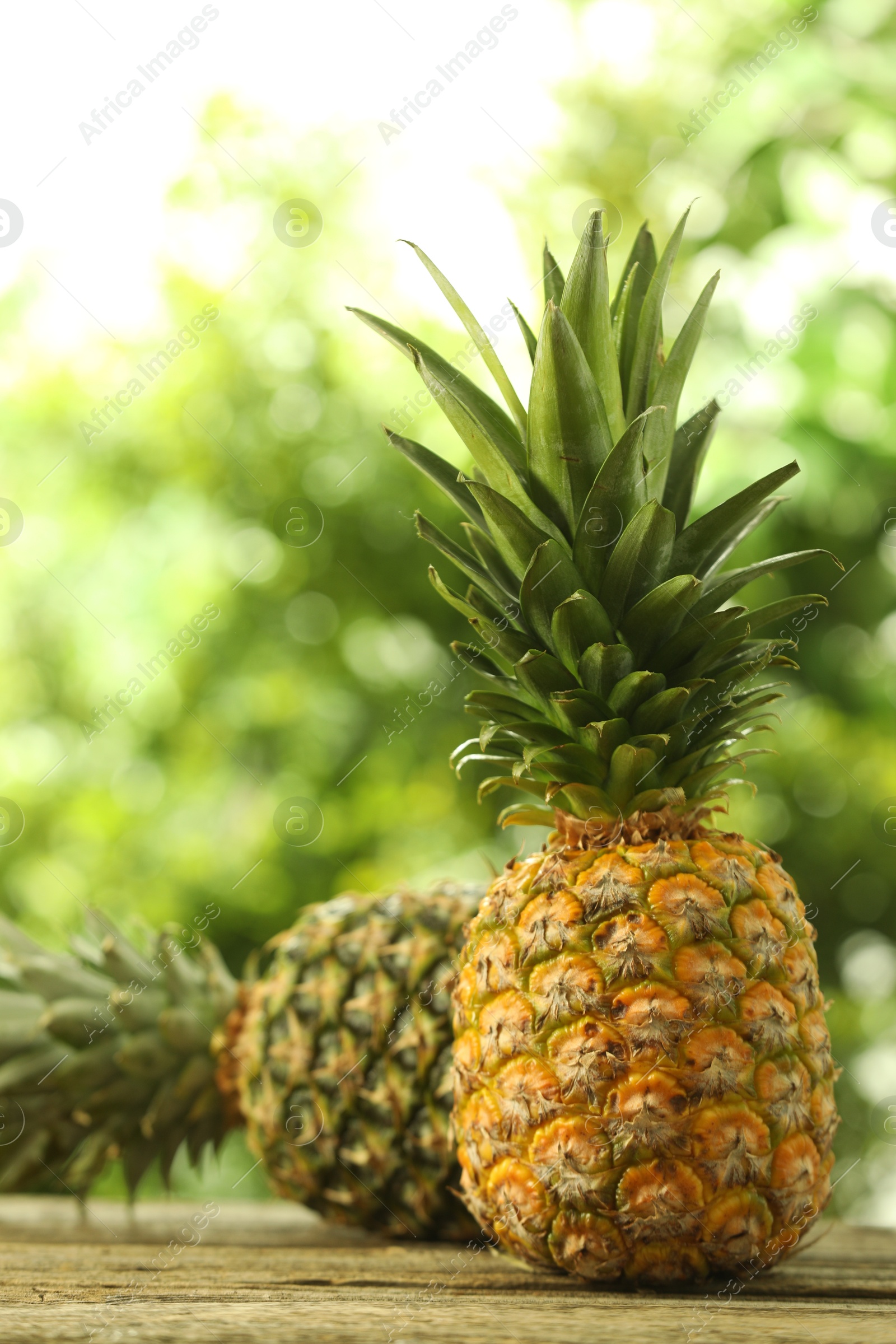 Photo of Fresh ripe pineapples on wooden table against blurred background