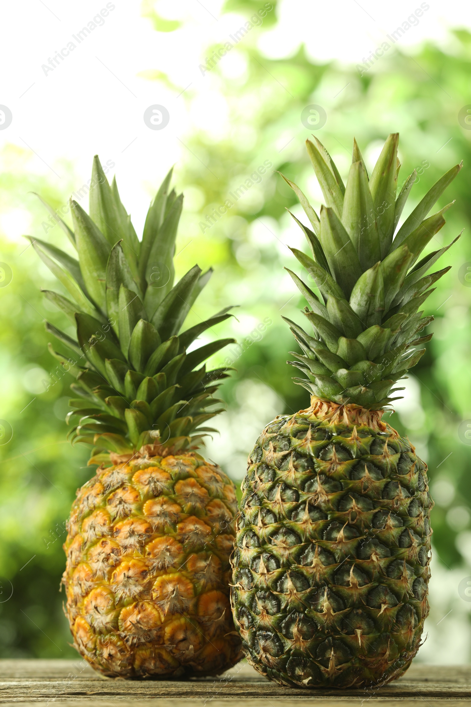 Photo of Fresh ripe pineapples on wooden table against blurred background