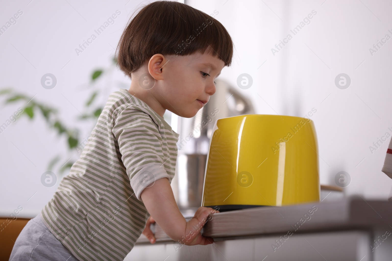 Photo of Little boy playing with toaster in kitchen. Dangerous situation