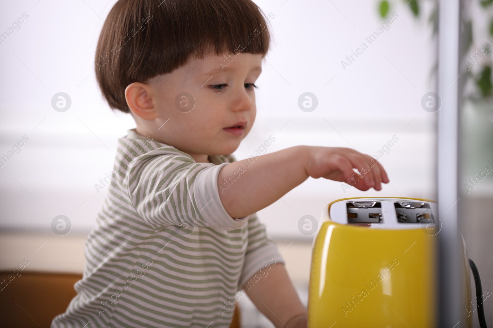 Photo of Little boy playing with toaster in kitchen. Dangerous situation