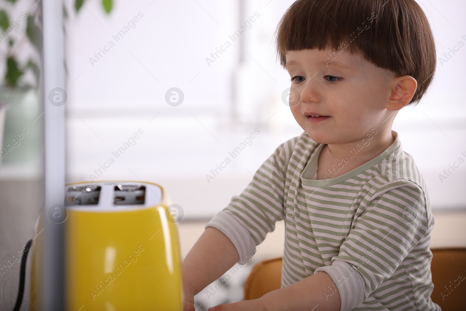 Photo of Little boy playing with toaster in kitchen. Dangerous situation