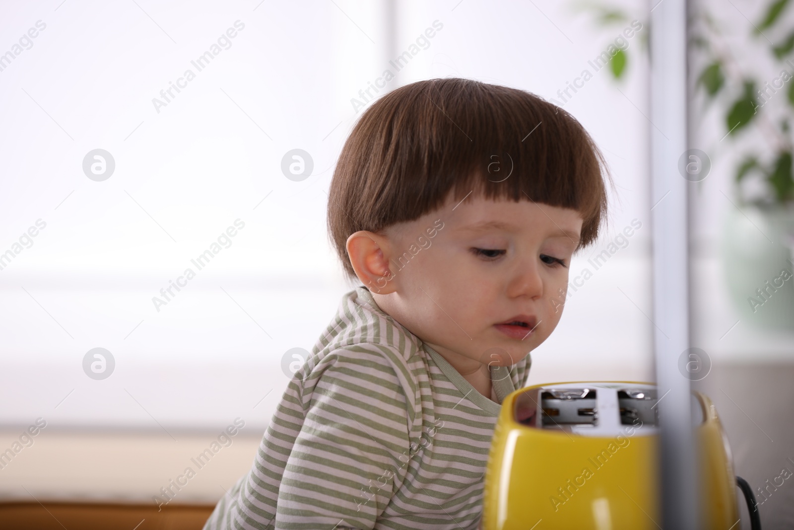 Photo of Little boy playing with toaster in kitchen. Dangerous situation