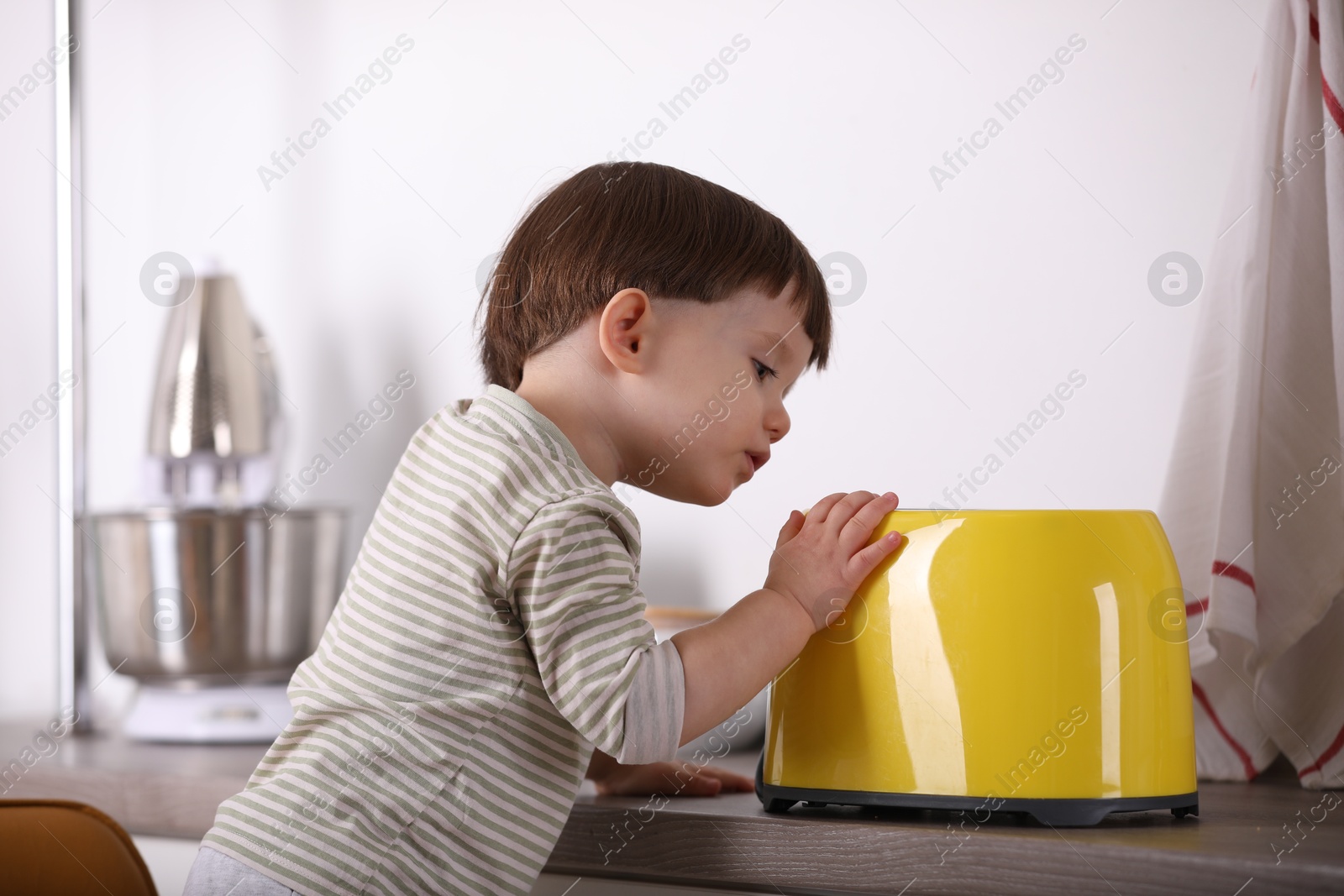 Photo of Little boy playing with toaster in kitchen. Dangerous situation