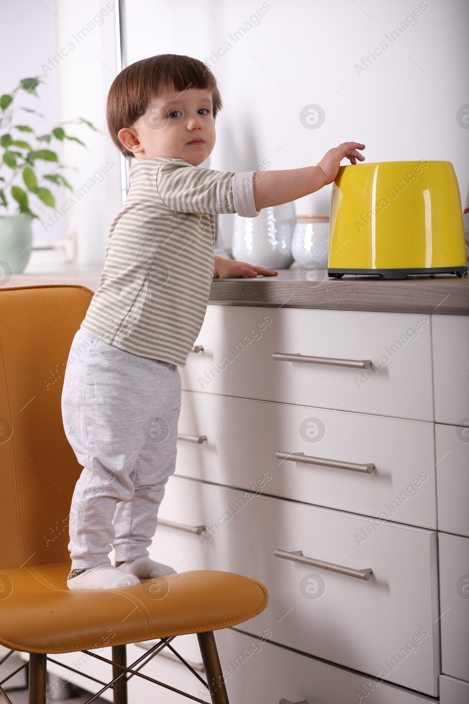 Photo of Little boy playing with toaster in kitchen. Dangerous situation