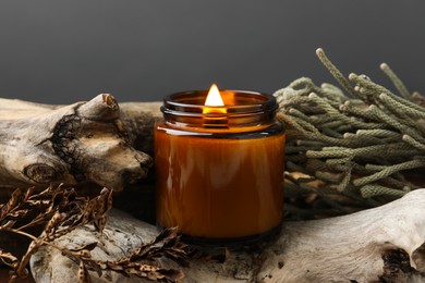 Photo of Beautiful burning candle, brunia plants and dry branch on pieces of decorative wood against gray background