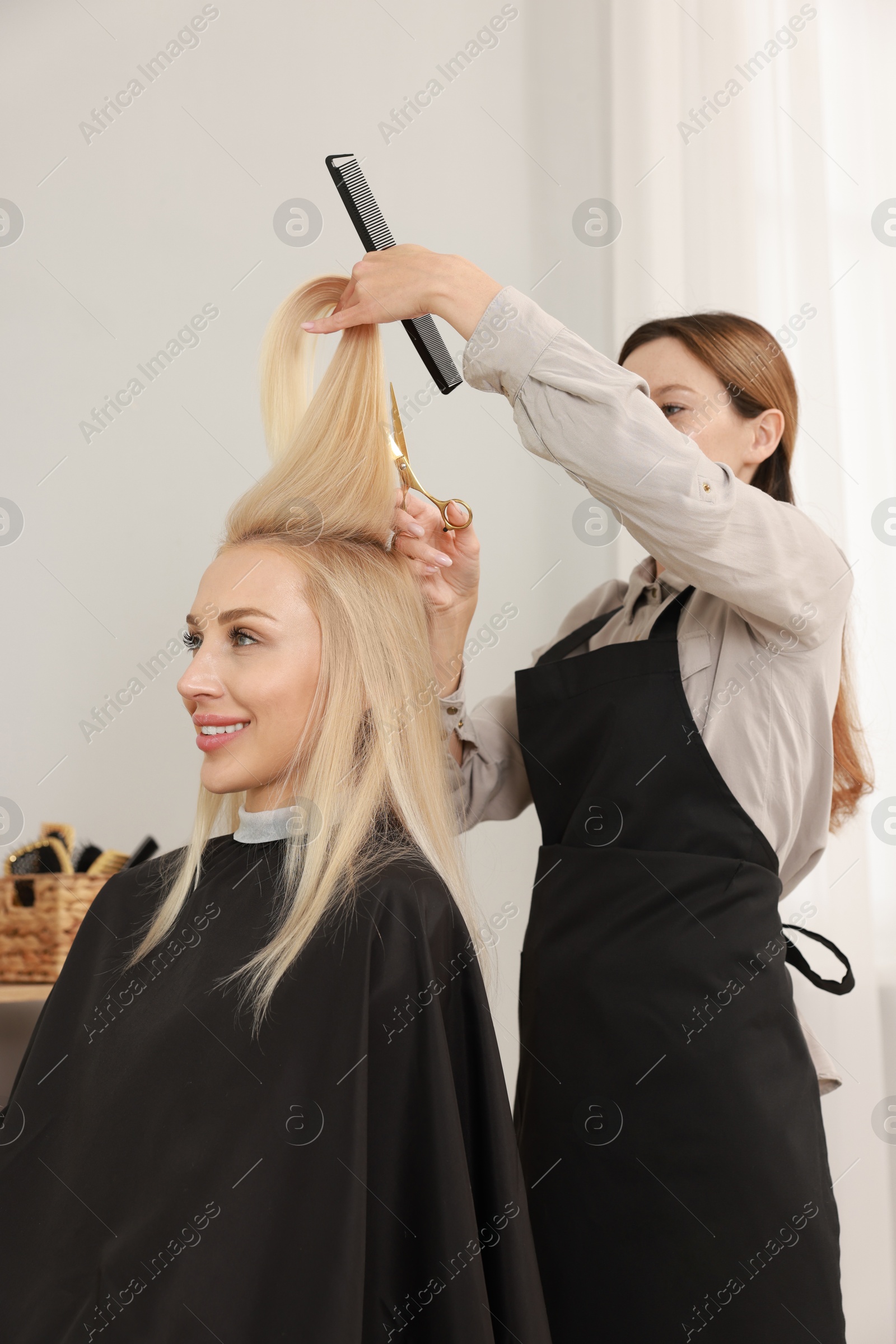 Photo of Hairdresser cutting client's hair with scissors in salon