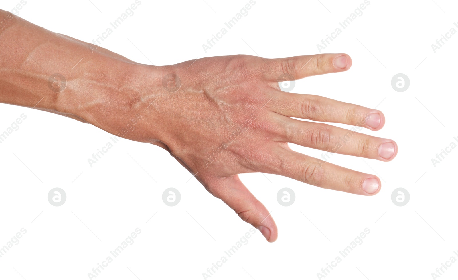 Photo of Man with bulging veins on his arm against white background, closeup