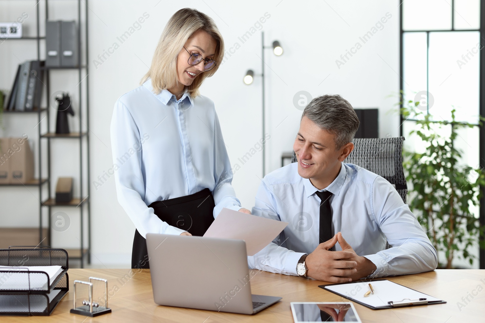 Photo of Middle aged employees working together in office