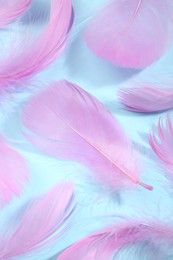 Fluffy pink feathers on light blue background, closeup