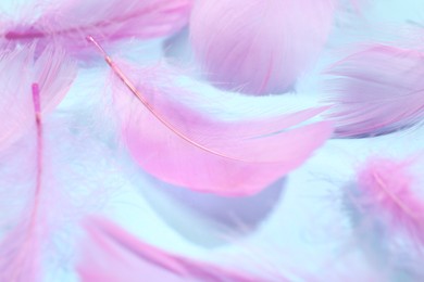 Photo of Fluffy pink feathers on light blue background, closeup