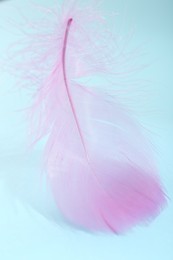 Photo of Fluffy pink feather on light blue background, closeup