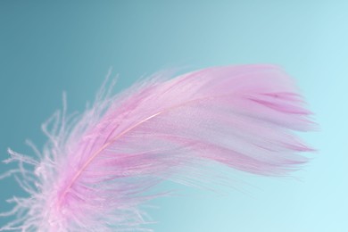 Photo of Fluffy pink feather on light blue background, closeup