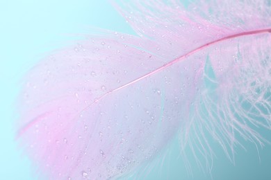 Fluffy pink feather on light blue background, closeup