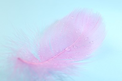 Photo of Fluffy pink feather on light blue background, closeup