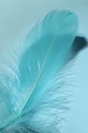 Photo of One fluffy feather on light blue background, closeup