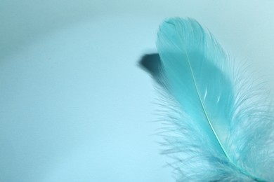 Photo of One fluffy feather on light blue background, closeup. Space for text