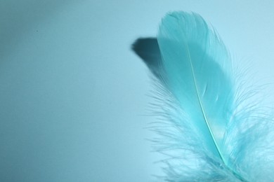 Photo of One fluffy feather on light blue background, closeup. Space for text