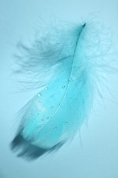 Photo of One fluffy feather on light blue background, top view