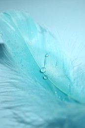 One fluffy feather on light blue background, closeup