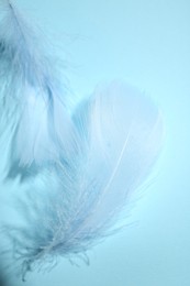 Fluffy feathers on light blue background, top view