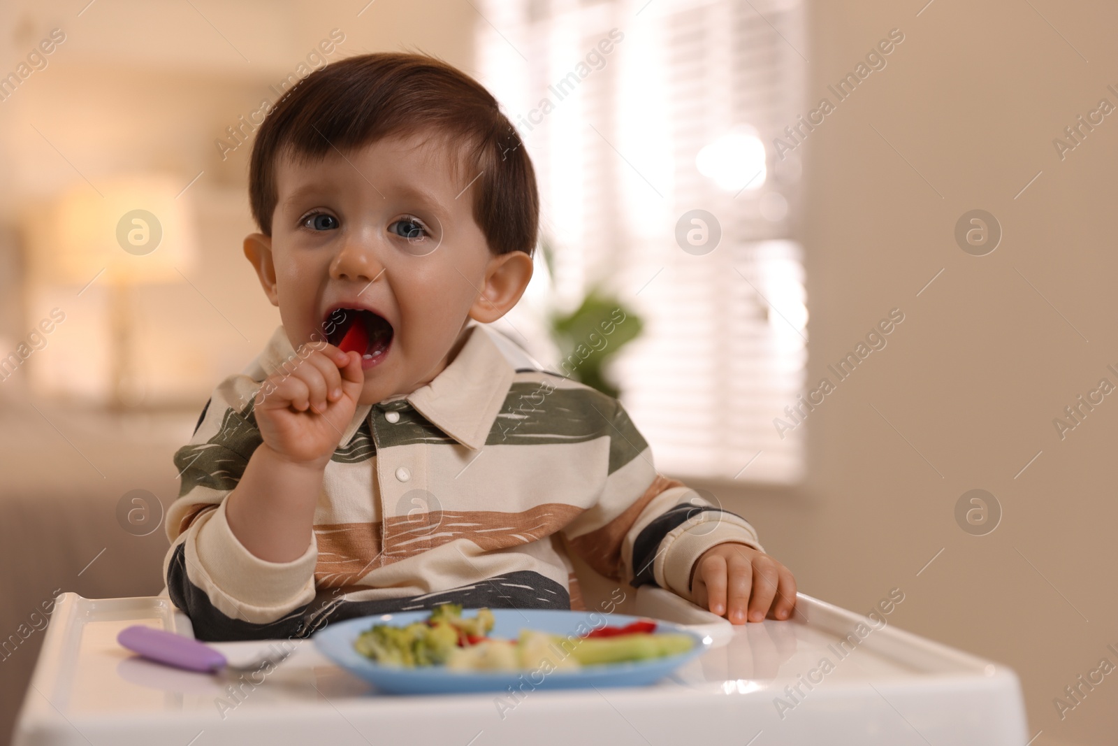 Photo of Cute little baby eating healthy food in high chair at home