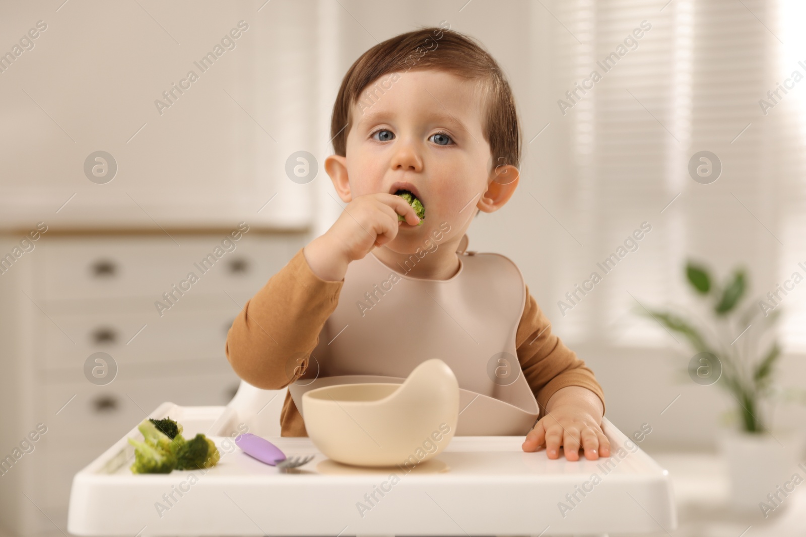 Photo of Cute little baby eating healthy food from bowl in high chair at home