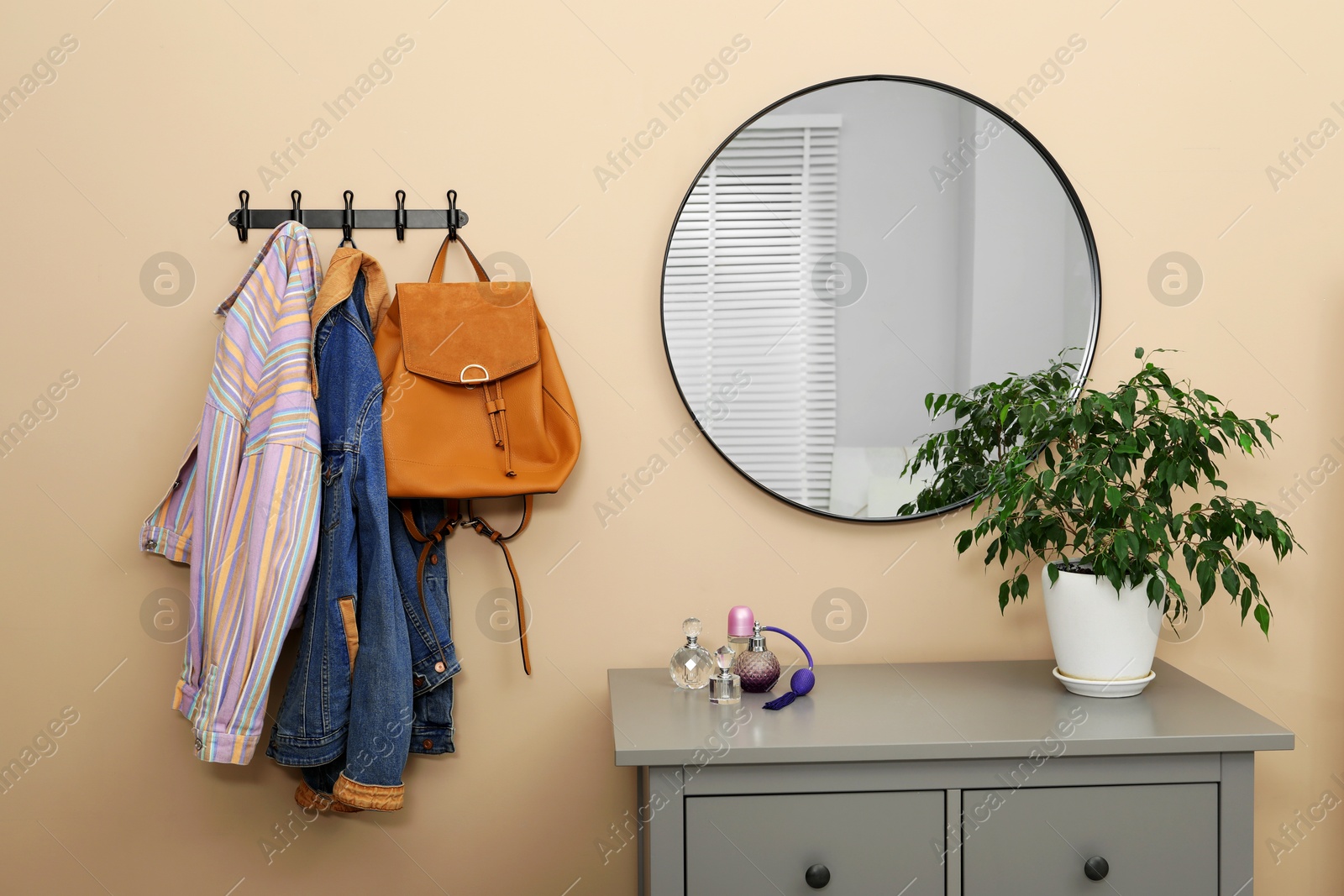 Photo of Coat rack with clothes, mirror, houseplant and chest of drawers in hallway. Interior design