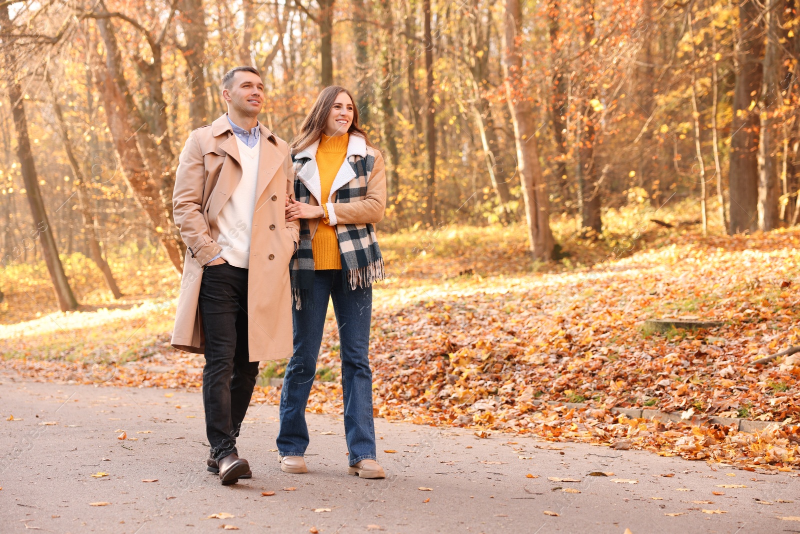 Photo of Happy couple spending time together in autumn park, space for text