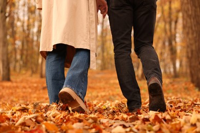 Photo of Couple spending time together in autumn park, closeup