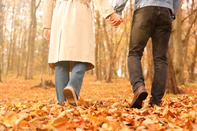 Photo of Couple spending time together in autumn park, closeup