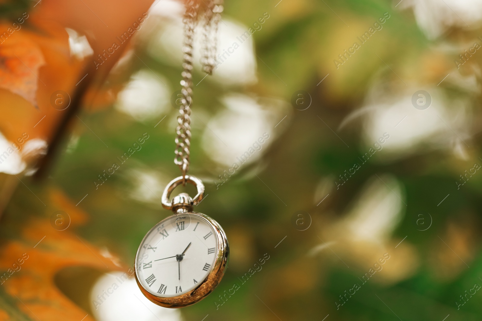 Photo of Autumn time. Chain watch on blurred background, closeup with space for text