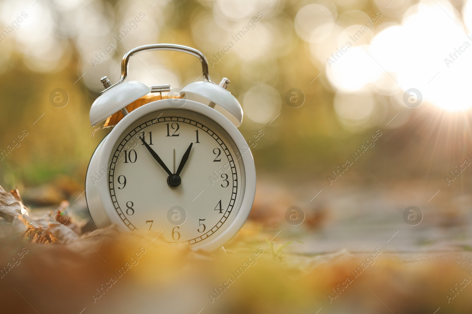 Photo of Autumn time. Alarm clock and fallen leaves on pathway in park, closeup with space for text